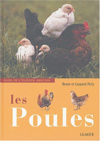 Leopold Peitz Les Poules (Elevages)