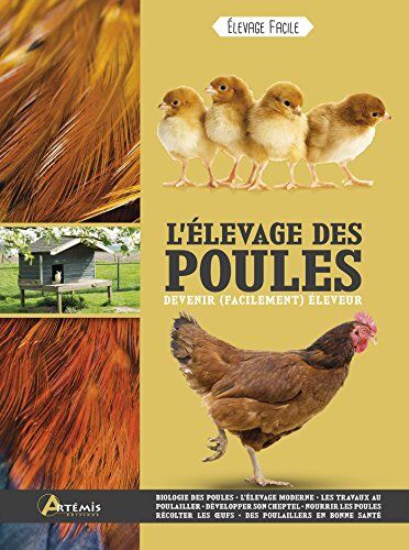 L'Élevage Des Poules