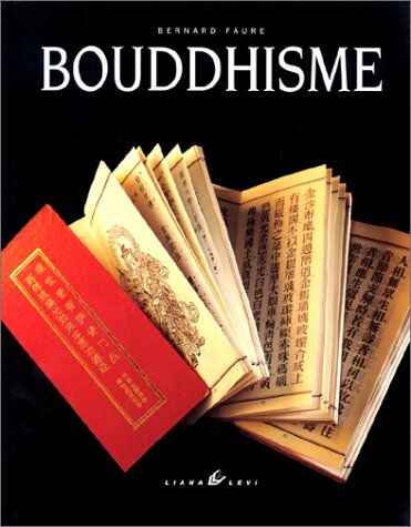 Bernard Faure Bouddhisme (Ikon)