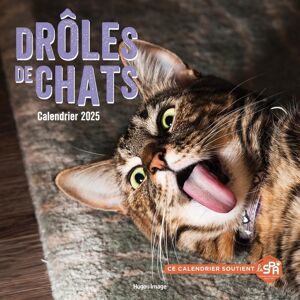 Calendrier Mural Drôles De Chats 2025 - Publicité Calendrier Mural Drôles De Chats 2025 - Publicité