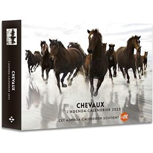Olivia Debarge Chevaux : L'Agenda-Calendrier 2023 - Publicité Olivia Debarge Chevaux : L'Agenda-Calendrier 2023 - Publicité