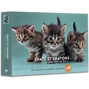 Chats Et Chatons : L'Agenda-Calendrier 2025 - Publicité Chats Et Chatons : L'Agenda-Calendrier 2025 - Publicité