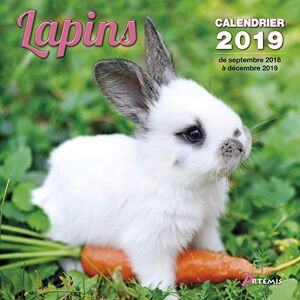 Collectif Lapins : Calendrier 2019 : De Septembre 2018 À Décembre 2019 - Publicité Collectif Lapins : Calendrier 2019 : De Septembre 2018 À Décembre 2019 - Publicité