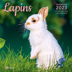 Artémis Lapins : Calendrier 2023 : De Septembre 2022 À Décembre 2023 - Publicité Artémis Lapins : Calendrier 2023 : De Septembre 2022 À Décembre 2023 - Publicité