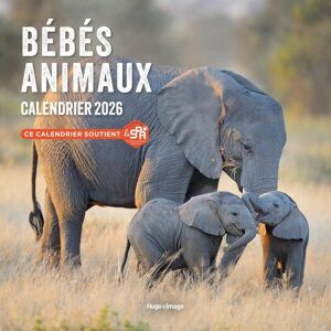 Calendrier Mural Bébés Animaux 2026 - Publicité Calendrier Mural Bébés Animaux 2026 - Publicité