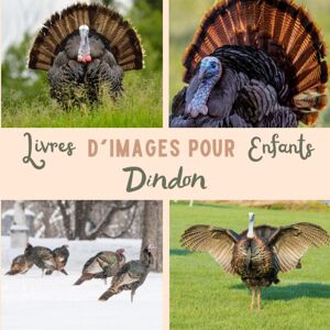 Cynthia Minardita Livre D'Images Pour Enfants - Dindon: Découvrir Le Dindon En Image - Enfants De 2 À 5 Ans - Publicité Cynthia Minardita Livre D'Images Pour Enfants - Dindon: Découvrir Le Dindon En Image - Enfants De 2 À 5 Ans - Publicité