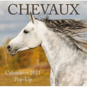 Chevaux : Calendrier 2011 Pop Up - Publicité Chevaux : Calendrier 2011 Pop Up - Publicité