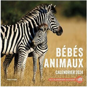 Hugo Image Calendrier Mural Bébés Animaux 2024 - Publicité Hugo Image Calendrier Mural Bébés Animaux 2024 - Publicité