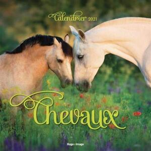 Olivia Debarge Chevaux : Calendrier 2021 - Publicité Olivia Debarge Chevaux : Calendrier 2021 - Publicité