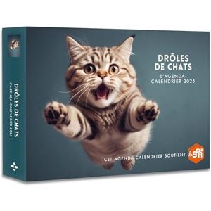 Hugo Image Drôles De Chats : L'Agenda-Calendrier 2025 - Publicité Hugo Image Drôles De Chats : L'Agenda-Calendrier 2025 - Publicité