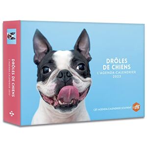 Audrey Messiaen Drôles De Chiens : L'Agenda-Calendrier 2023 - Publicité Audrey Messiaen Drôles De Chiens : L'Agenda-Calendrier 2023 - Publicité