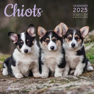 Chiots : Calendrier 2025 : De Septembre 2024 À Décembre 2025 - Publicité Chiots : Calendrier 2025 : De Septembre 2024 À Décembre 2025 - Publicité