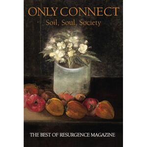 John Lane Only Connect: Soil, Soul, & Society: The Best Of Resurgence Magazine: The Best Of Resurgence, 1990-1999 - Publicité John Lane Only Connect: Soil, Soul, & Society: The Best Of Resurgence Magazine: The Best Of Resurgence, 1990-1999 - Publicité