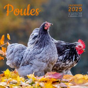Collectif Poules : Calendrier 2025 : De Septembre 2024 À Décembre 2025 - Publicité Collectif Poules : Calendrier 2025 : De Septembre 2024 À Décembre 2025 - Publicité