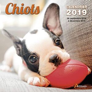 Collectif Chiots : Calendrier 2019 : De Septembre 2018 À Décembre 2019 - Publicité Collectif Chiots : Calendrier 2019 : De Septembre 2018 À Décembre 2019 - Publicité