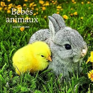 Collectif Bébés Animaux : Calendrier 2025 - Publicité Collectif Bébés Animaux : Calendrier 2025 - Publicité