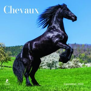 Place des Victoires Chevaux : Calendrier 2023 - Publicité Place des Victoires Chevaux : Calendrier 2023 - Publicité