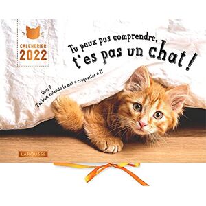 Aurélie Lemoine Tu Peux Pas Comprendre, T'Es Pas Un Chat ! : Calendrier 2022 - Publicité Aurélie Lemoine Tu Peux Pas Comprendre, T'Es Pas Un Chat ! : Calendrier 2022 - Publicité