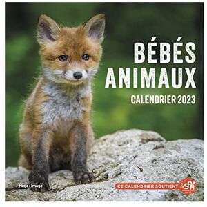 Luce Valli Bébés Animaux : Calendrier 2023 - Publicité Luce Valli Bébés Animaux : Calendrier 2023 - Publicité