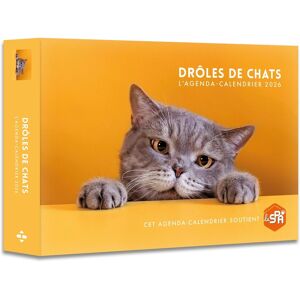 Agenda : Calendrier Drôles De Chats 2026 - Publicité Agenda : Calendrier Drôles De Chats 2026 - Publicité