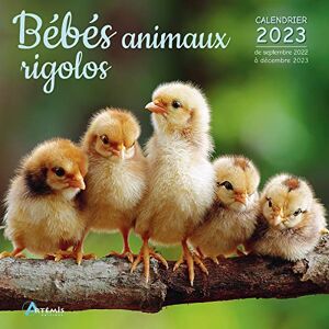 Artémis Bébés Animaux Rigolos : Calendrier 2023 : De Septembre 2022 À Décembre 2023 - Publicité Artémis Bébés Animaux Rigolos : Calendrier 2023 : De Septembre 2022 À Décembre 2023 - Publicité