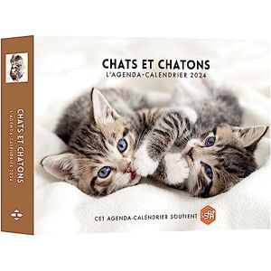 Gérard Schaller Chats Et Chatons : L'Agenda-Calendrier 2024 - Publicité Gérard Schaller Chats Et Chatons : L'Agenda-Calendrier 2024 - Publicité