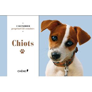 Valérie Tognali Chiots : Calendrier Perpétuel 52 Semaines - Publicité Valérie Tognali Chiots : Calendrier Perpétuel 52 Semaines - Publicité