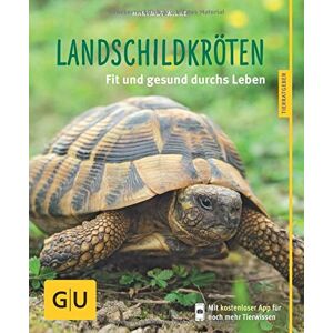 Hartmut Wilke Landschildkröten: Fit Und Gesund Durchs Leben - Publicité Hartmut Wilke Landschildkröten: Fit Und Gesund Durchs Leben - Publicité