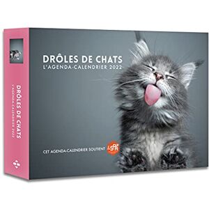 Sophie Le Flour Drôles De Chats : L'Agenda-Calendrier 2022 - Publicité Sophie Le Flour Drôles De Chats : L'Agenda-Calendrier 2022 - Publicité