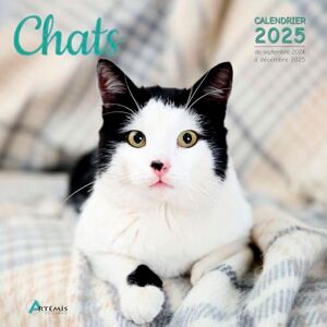 Artémis Chats : Calendrier 2025 : De Septembre 2024 À Décembre 2025 - Publicité Artémis Chats : Calendrier 2025 : De Septembre 2024 À Décembre 2025 - Publicité