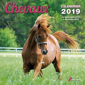 Collectif Chevaux : Calendrier 2019 : De Septembre 2018 À Décembre 2019 - Publicité Collectif Chevaux : Calendrier 2019 : De Septembre 2018 À Décembre 2019 - Publicité
