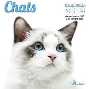Collectif Chats : Calendrier 2019 : De Septembre 2018 À Décembre 2019 - Publicité Collectif Chats : Calendrier 2019 : De Septembre 2018 À Décembre 2019 - Publicité