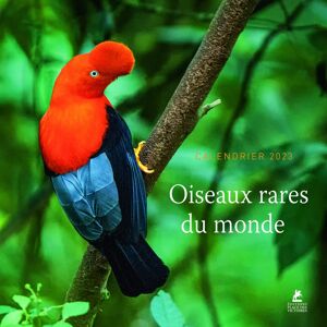 Joséphine Bindé Oiseaux Rares Du Monde : Calendrier 2023 - Publicité Joséphine Bindé Oiseaux Rares Du Monde : Calendrier 2023 - Publicité