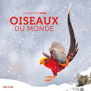 Calendrier Mural Oiseaux Du Monde 2026 - Publicité Calendrier Mural Oiseaux Du Monde 2026 - Publicité