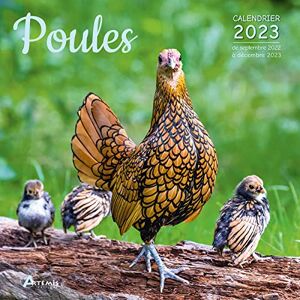 Collectif Poules : Calendrier 2023 : De Septembre 2022 À Décembre 2023 - Publicité Collectif Poules : Calendrier 2023 : De Septembre 2022 À Décembre 2023 - Publicité