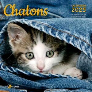 Chatons : Calendrier 2025 : De Septembre 2024 À Décembre 2025 - Publicité Chatons : Calendrier 2025 : De Septembre 2024 À Décembre 2025 - Publicité