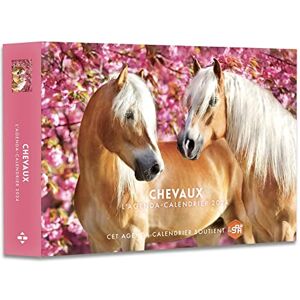Hugo Image Chevaux : L'Agenda-Calendrier 2024 - Publicité Hugo Image Chevaux : L'Agenda-Calendrier 2024 - Publicité
