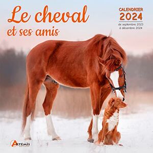 Artémis Le Cheval Et Ses Amis : Calendrier 2024 : De Septembre 2023 À Décembre 2024 - Publicité Artémis Le Cheval Et Ses Amis : Calendrier 2024 : De Septembre 2023 À Décembre 2024 - Publicité