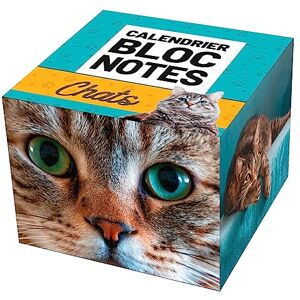 Play Bac Calendrier Bloc Notes Chats - Publicité Play Bac Calendrier Bloc Notes Chats - Publicité