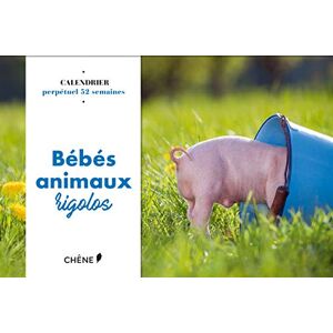 Collectif Bébés Animaux Rigolos : Calendrier Perpétuel 52 Semaines - Publicité Collectif Bébés Animaux Rigolos : Calendrier Perpétuel 52 Semaines - Publicité