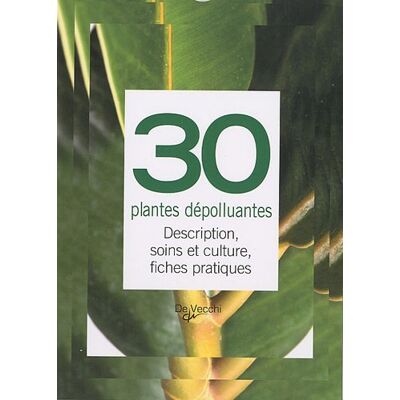 De Vecchi 30 Plantes Dépolluantes : Description, Soins Et Culture, Fiches Pratiques - Publicité De Vecchi 30 Plantes Dépolluantes : Description, Soins Et Culture, Fiches Pratiques - Publicité