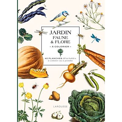 XXX Jardin : Faune & Flore À Colorier : 40 Planches Détachables À Colorier Ou À Peindre - Publicité XXX Jardin : Faune & Flore À Colorier : 40 Planches Détachables À Colorier Ou À Peindre - Publicité