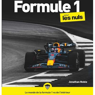 Jonathan Noble Formule 1 Pour Les Nuls - Publicité Jonathan Noble Formule 1 Pour Les Nuls - Publicité