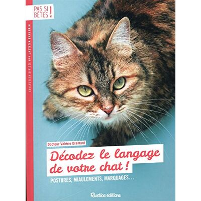 Décodez Le Langage De Votre Chat : Postures, Miaulements, Marquages... Publicité Décodez Le Langage De Votre Chat : Postures, Miaulements, Marquages... Publicité