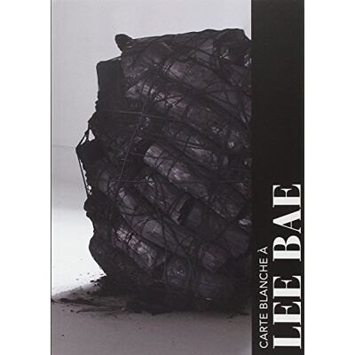 Collectif Carte Blanche À Lee Bae : Exposition, Paris, Musée Guimet, Du 18 Septembre 2015 Au 25 Janvier 2016 - Publicité Collectif Carte Blanche À Lee Bae : Exposition, Paris, Musée Guimet, Du 18 Septembre 2015 Au 25 Janvier 2016 - Publicité