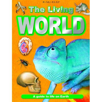 Various Living World - Publicité Various Living World - Publicité