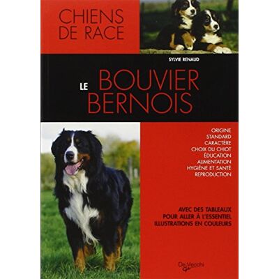 Sylvie Renaud Le Bouvier Bernois - Publicité Sylvie Renaud Le Bouvier Bernois - Publicité