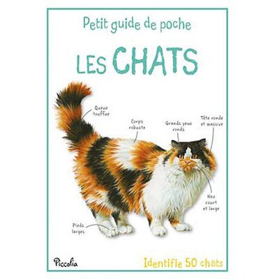 XXX Les Chats : Identifie 50 Chats - Publicité XXX Les Chats : Identifie 50 Chats - Publicité