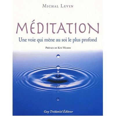 Michal Levin Méditation : Une Voie Qui Mène Au Soi Le Plus Profond - Publicité Michal Levin Méditation : Une Voie Qui Mène Au Soi Le Plus Profond - Publicité