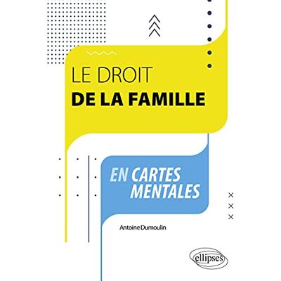 Antoine Dumoulin Le Droit De La Famille En Cartes Mentales - Publicité Antoine Dumoulin Le Droit De La Famille En Cartes Mentales - Publicité